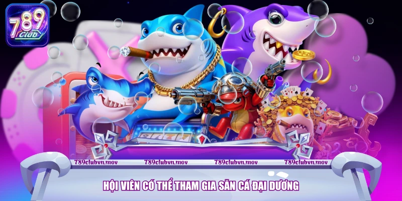 Hội viên có thể tham gia săn cá đại dương